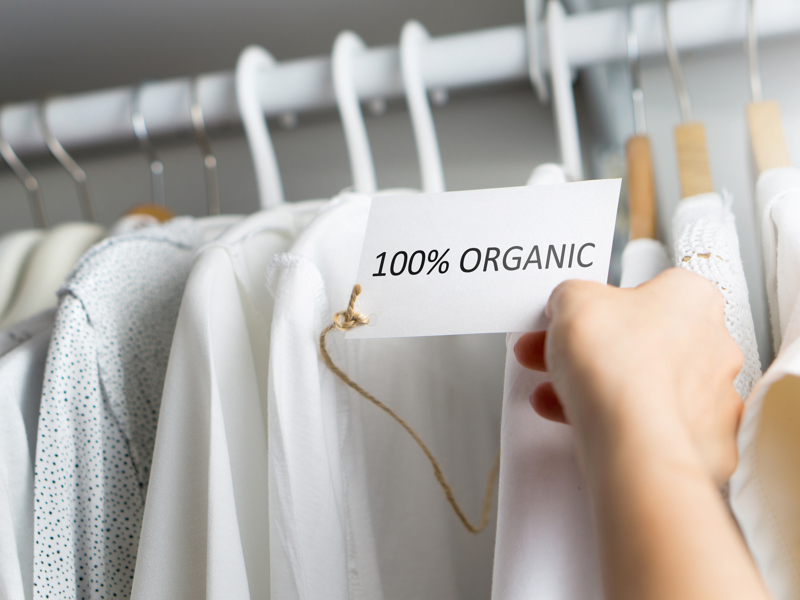 Garment Technology Blog Post