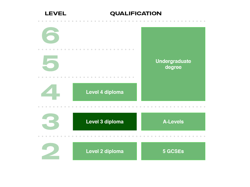 Level 3