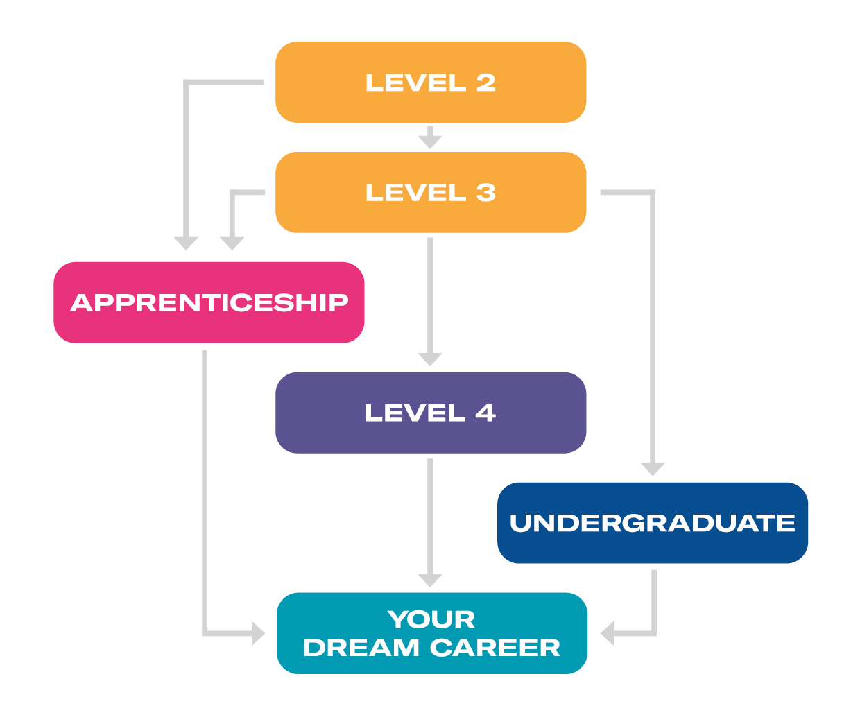Pathway To A Career New